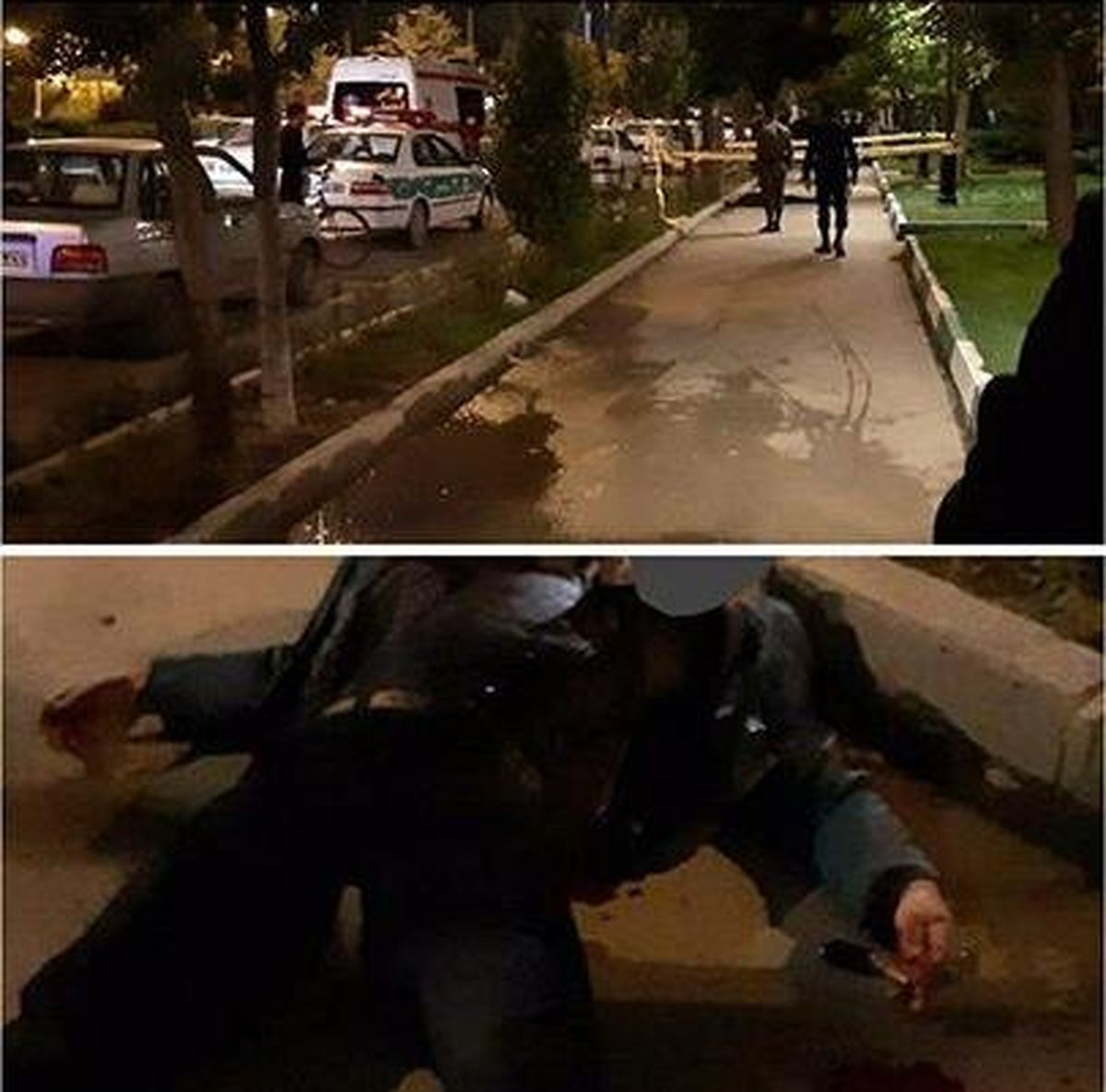 قتل هولناک مرد اردبیلی در مقابل دانشگاه