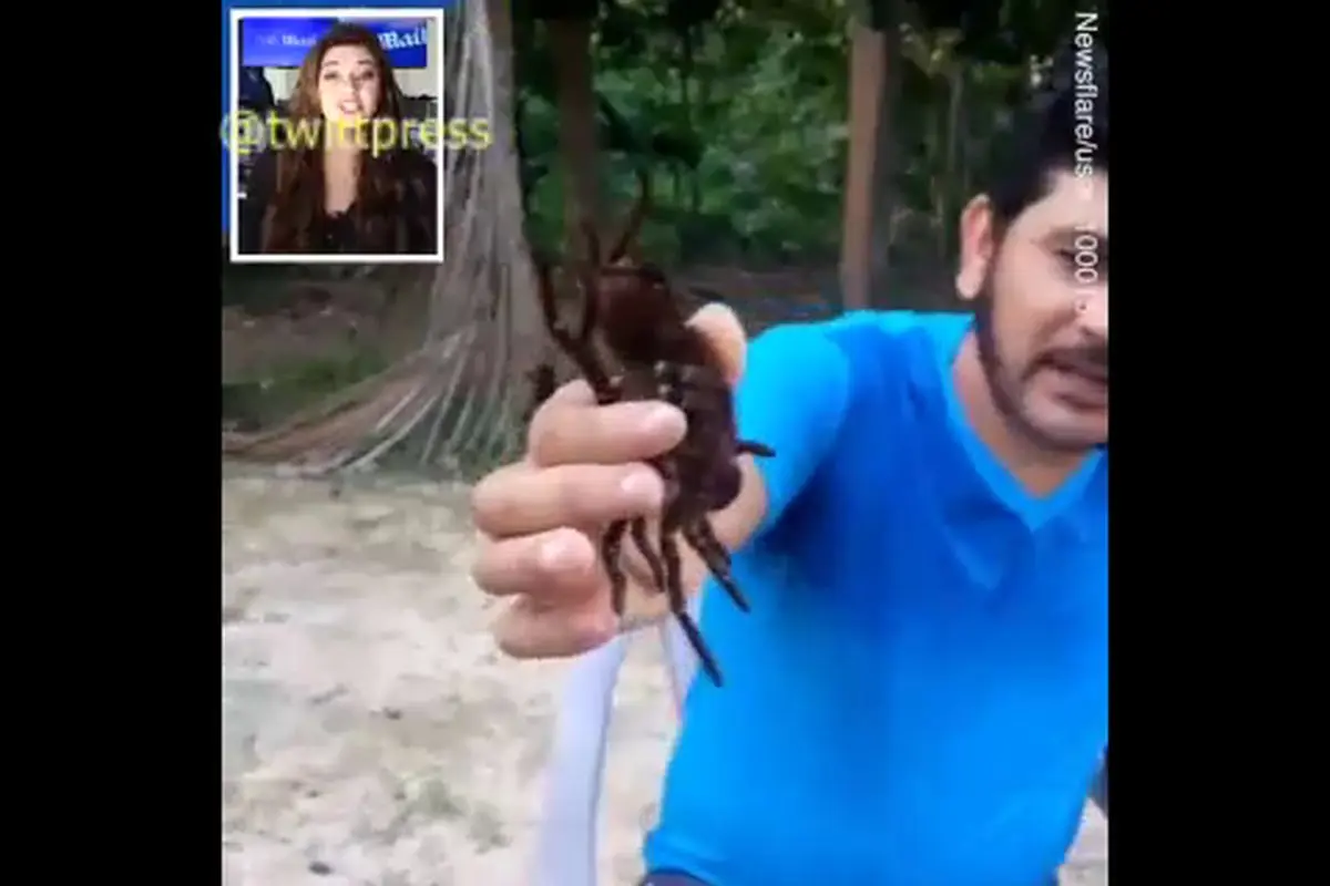اعتراض به سبک جدید