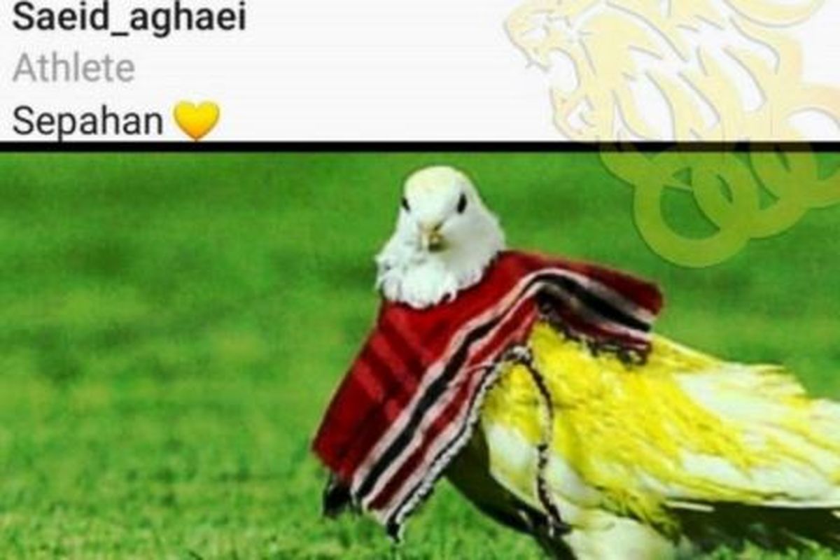 درباره استوری توهینآمیز سعید آقایی و پول خانه خطیر
