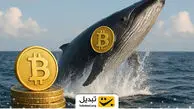 خرید میلیارد دلاری نهنگ بیت‌کوین در پایان ۲۰۲۵؛ استراتژی چه می‌کند؟