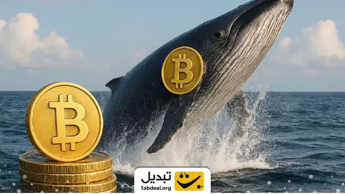 خرید میلیارد دلاری نهنگ بیت‌کوین در پایان ۲۰۲۵؛ استراتژی چه می‌کند؟