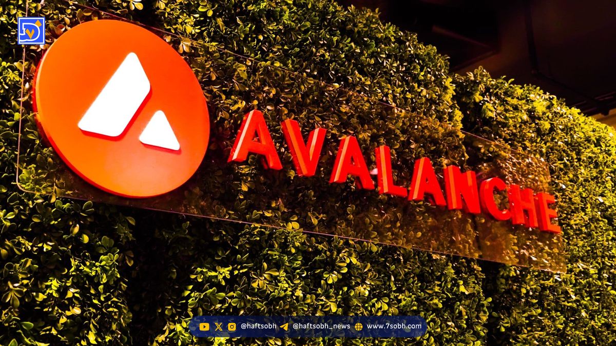 رشد چشمگیر فعالیت بلاکچین Avalanche با افزایش معاملات غیرمتمرکز و هیجان میمکوینها