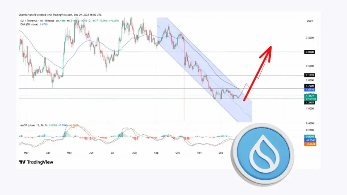 سویی در برابر آزادسازی ۷۸.۹ میلیون دلاری؛ زمان خرید است یا فروش؟