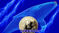نهنگ معروف بیت‌کوین روی رشد قیمت بیت‌کوین، اتریوم و سولانا شرط‌بندی می‌کند