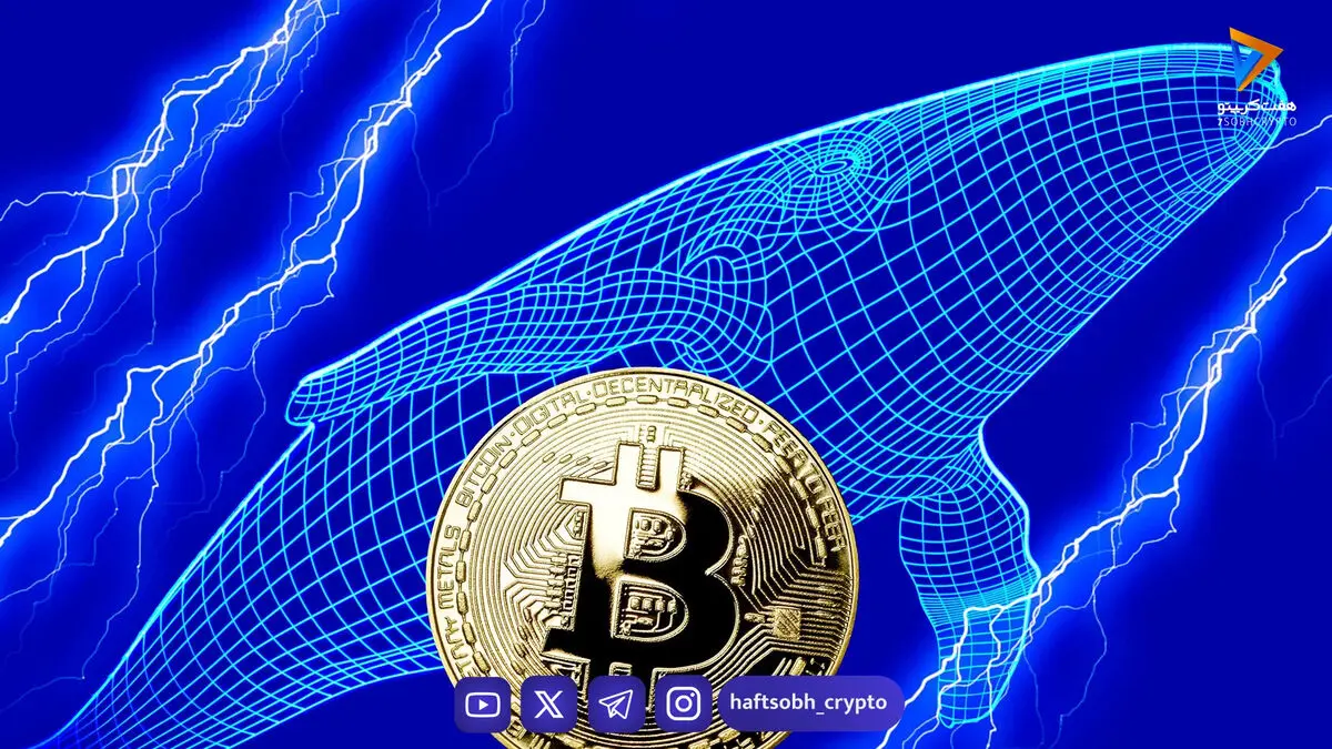 نهنگ معروف بیت‌کوین روی رشد قیمت بیت‌کوین، اتریوم و سولانا شرط‌بندی می‌کند