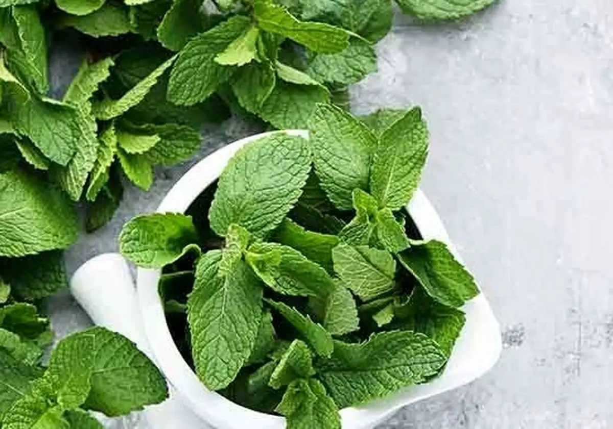 یک روش ساده برای مبارزه با هوس مواد قندی پس از ناهار