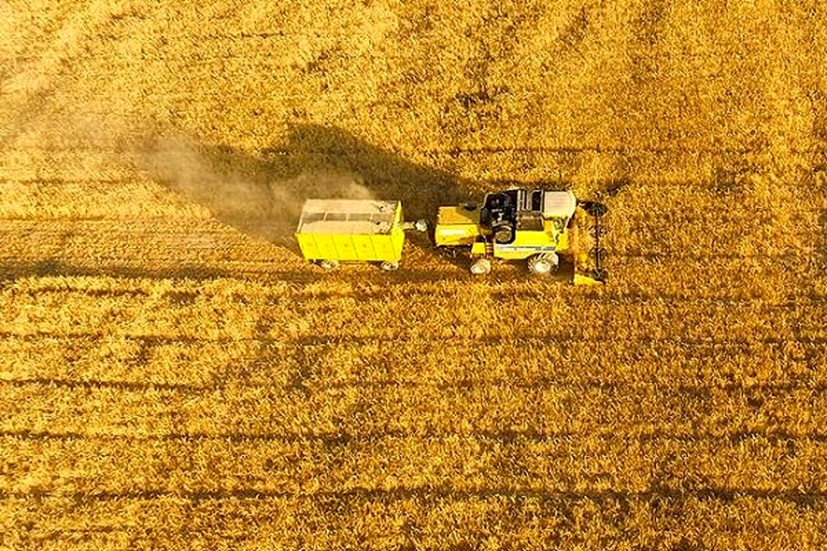 جزییات جدید از مصادره زمینهای خاندان پهلوی