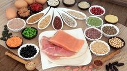 پروتئین حیوانی یا پروتئین گیاهی؟!