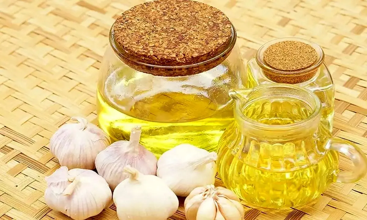 سیر؛ از فواید سلامت شگفت انگیز تا روغن جادویی!