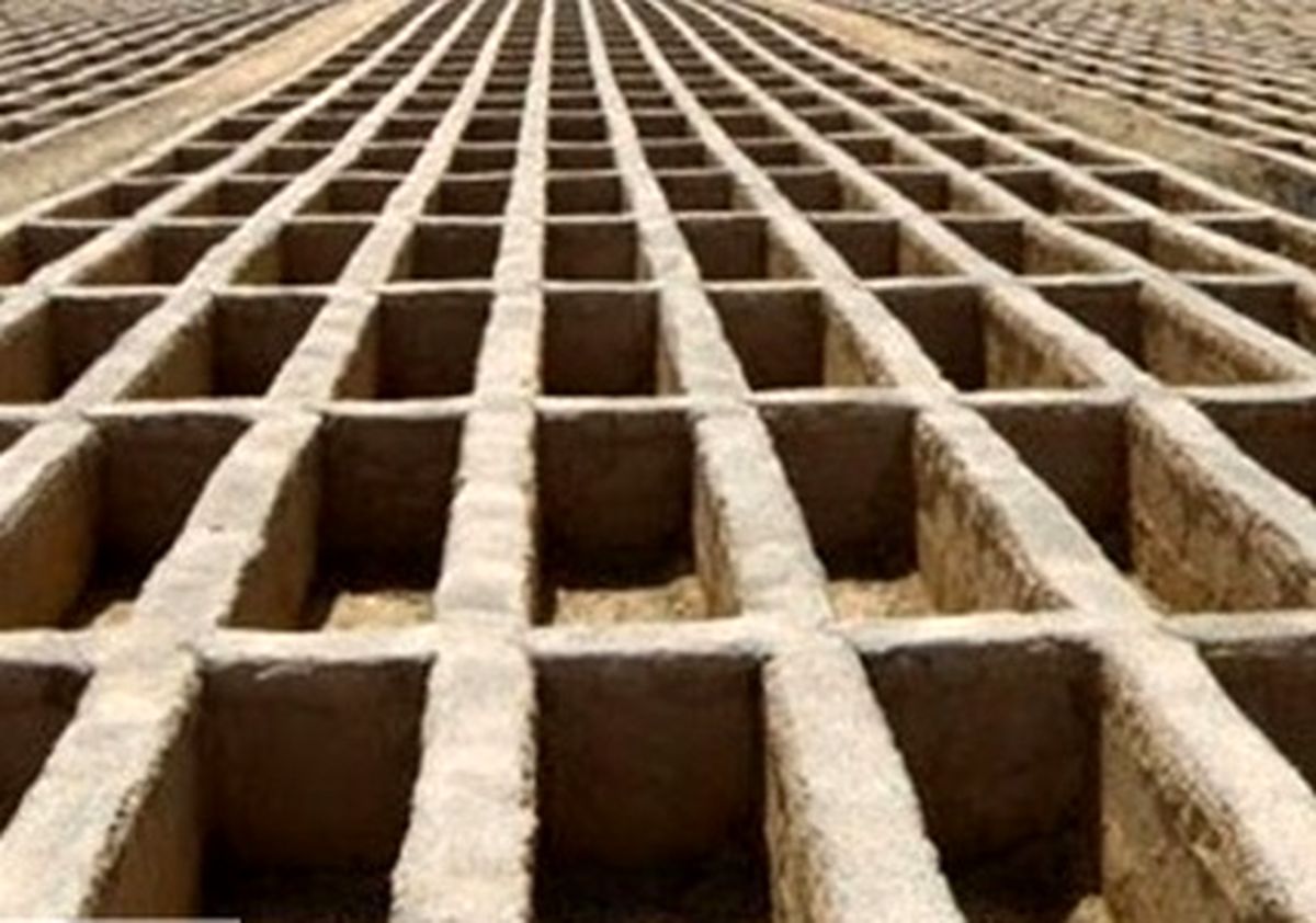 تن فروشی درقبرهای بهشت زهرا بخاطر یک لقمه نان