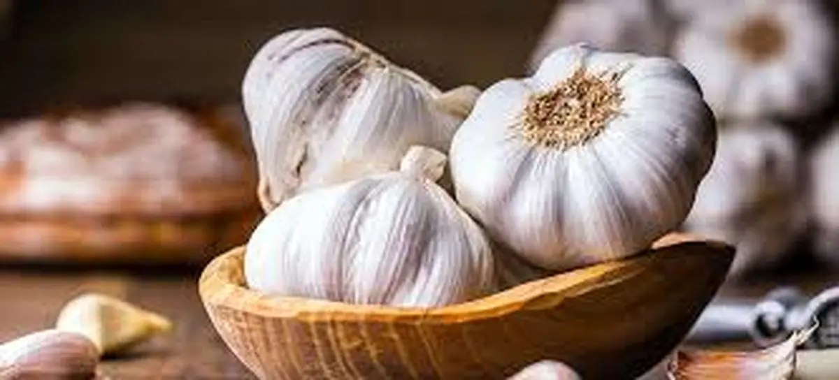 معجزه‌ای به نام سیر!