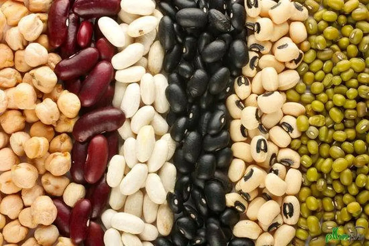 مواد غذایی که خستگی روزانه را برطرف می‌کند