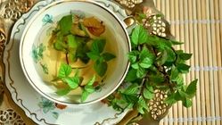درمان تب با گیاهان دارویی