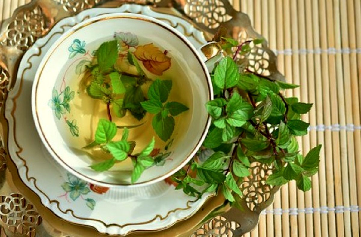 درمان تب با گیاهان دارویی