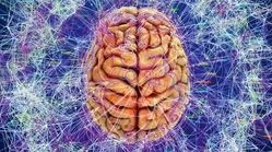 آیا می‌توان مغز انسان را هک کرد؟