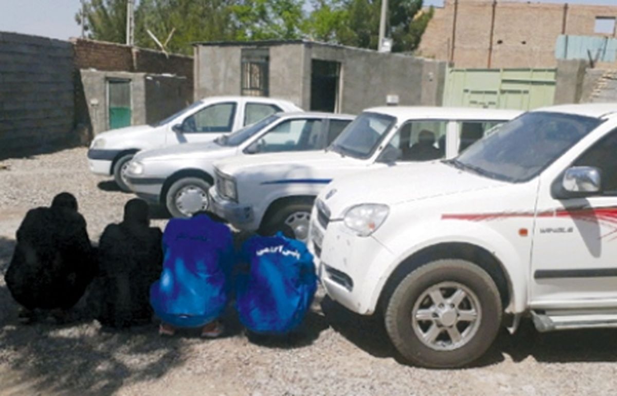 تشکیل باند سرقت برای خوشگذرانی