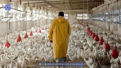 معاونین وزارت جهادکشاورزی به سازمان بازرسی فراخوانده شدند