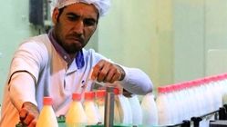 جنجال آفلاتوکسین در شیر پاستوریزه