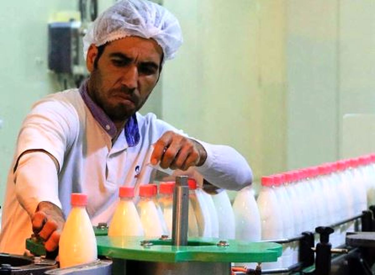 جنجال آفلاتوکسین در شیر پاستوریزه