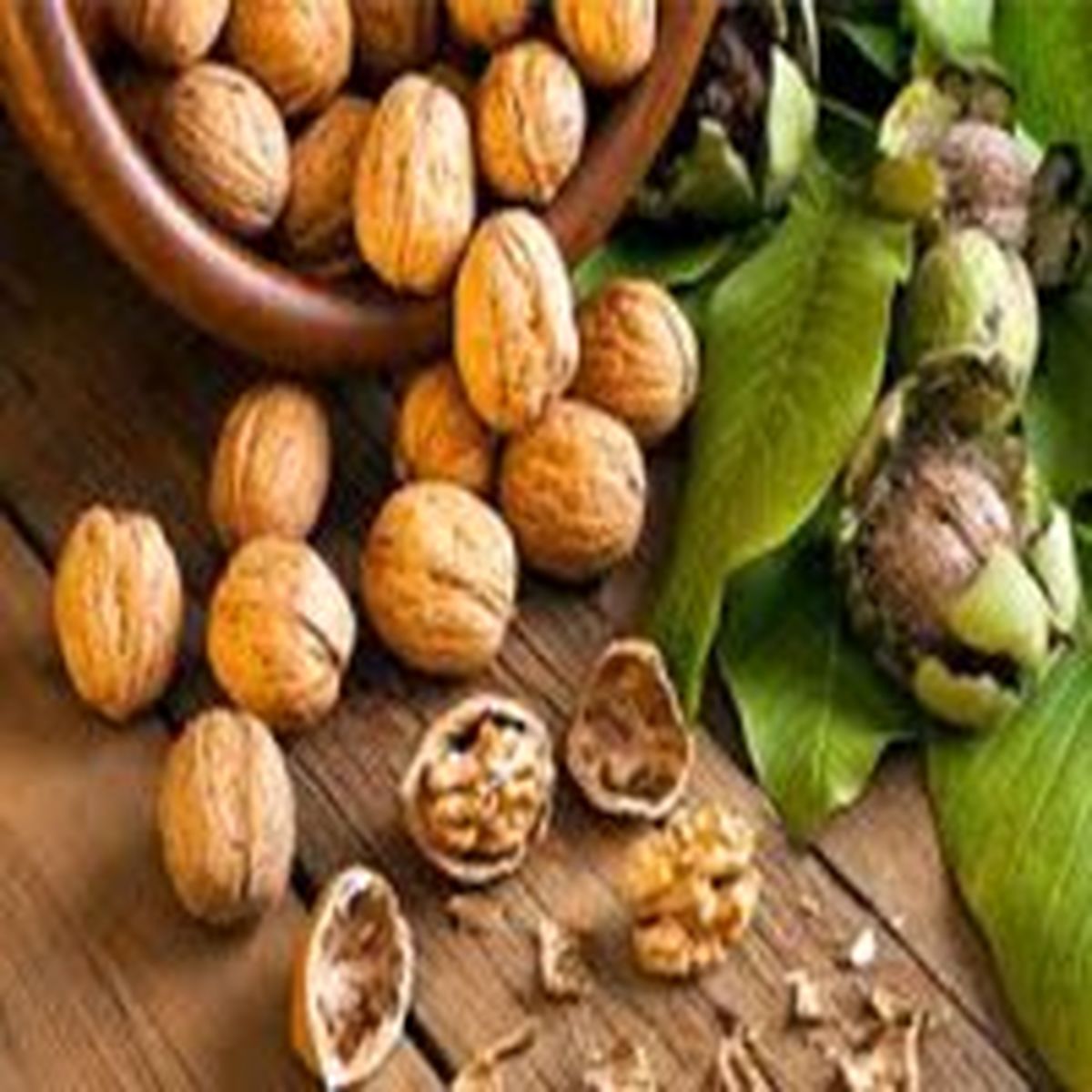 خوراکیهایی که به افزایش تمرکز کمک میکنند