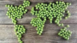 از گیاه‌خواری تا تغییر اقلیم