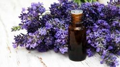رایحه درمانی با اسطوخودوس