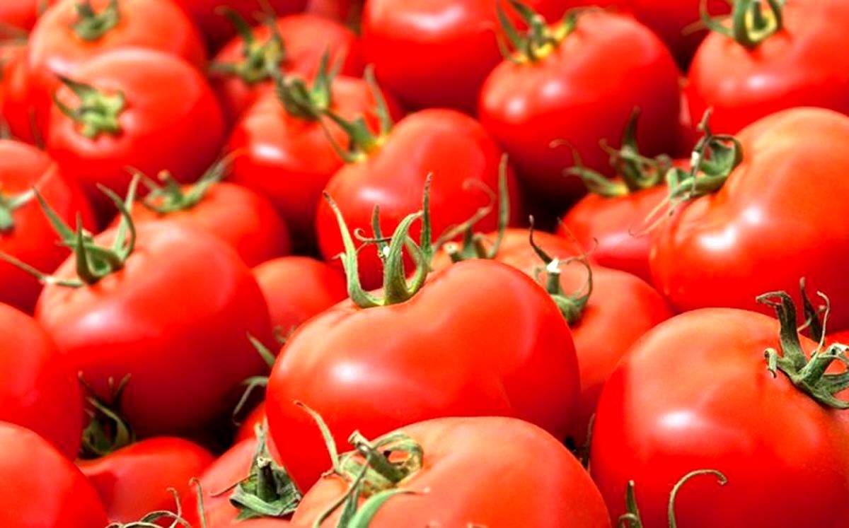 فواید شگفت انگیز گوجه فرنگی
