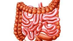 علل ضعف کنترل روده
