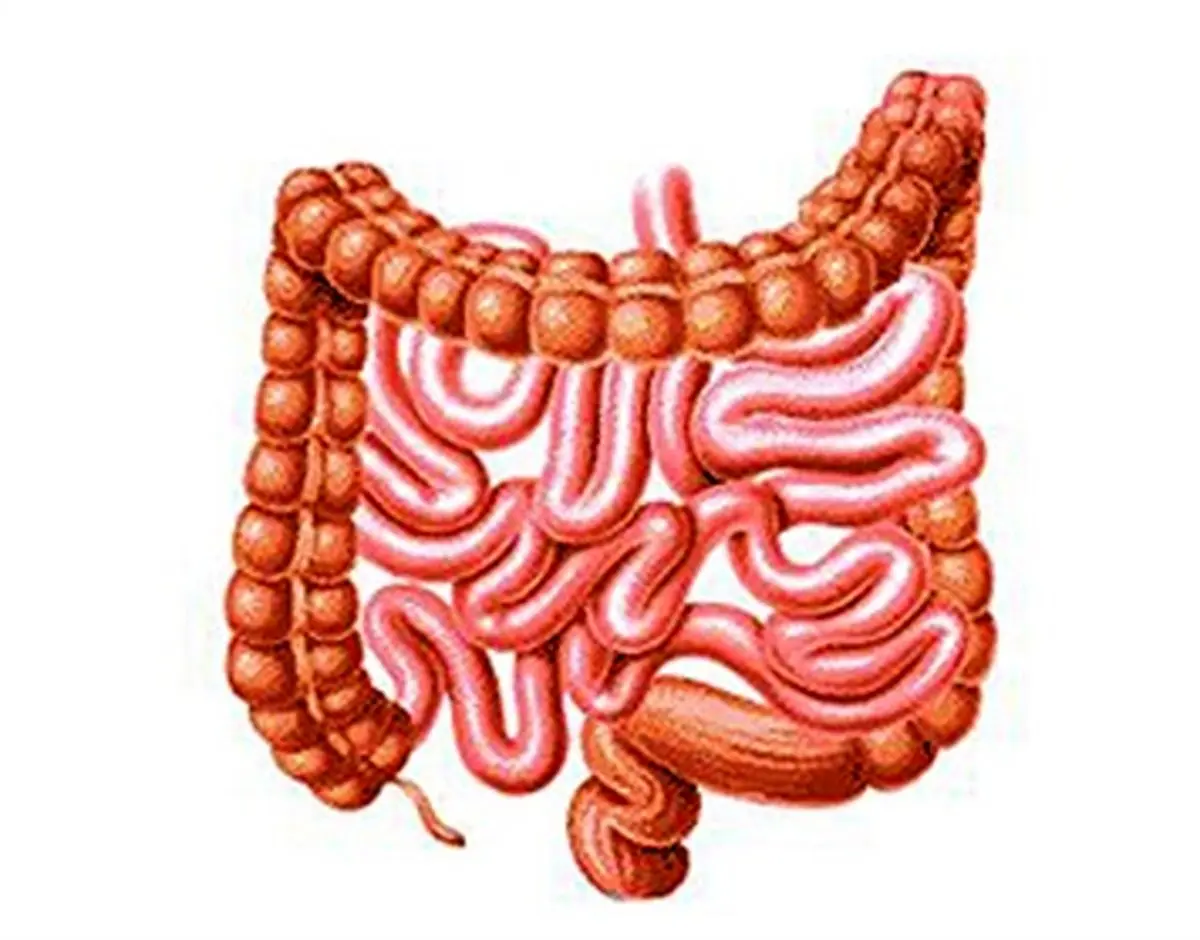 علل ضعف کنترل روده