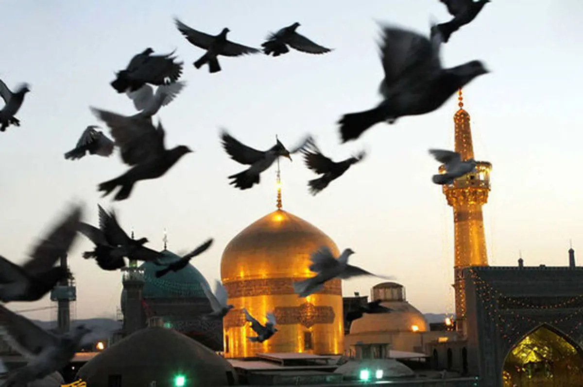 هتاکان حرم در مشهد و قم از کجا هدایت می‌شوند؟
