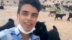آوازخوانی چوپان جوان سوژه رسانه‌ها شد