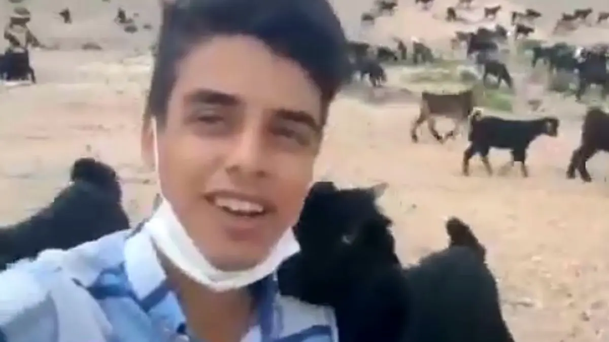 آوازخوانی چوپان جوان سوژه رسانه‌ها شد