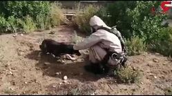 ویدیو/نجات توله سگ بازیگوش