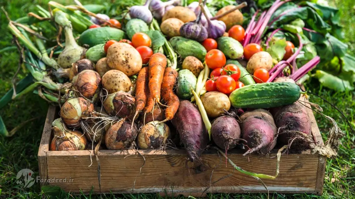 چرا ویتامین‌ها نمی‌توانند سیستمِ ایمنی را تقویت کنند؟