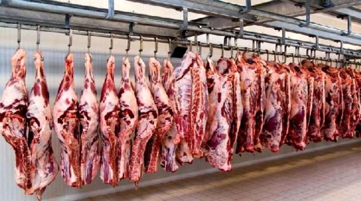 ویدیو/ بحث بر سر قیمت گوشت
