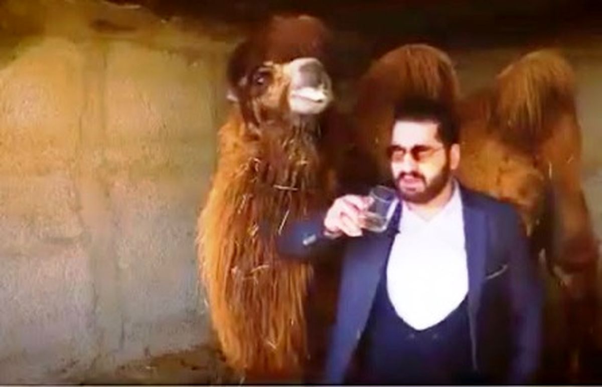 درباره پیشنهاد عجیب و بهتآور نوشیدن ادرار شتر