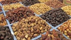 آشنایی با انواع خرما؛ از عجوه تا خاصویی
