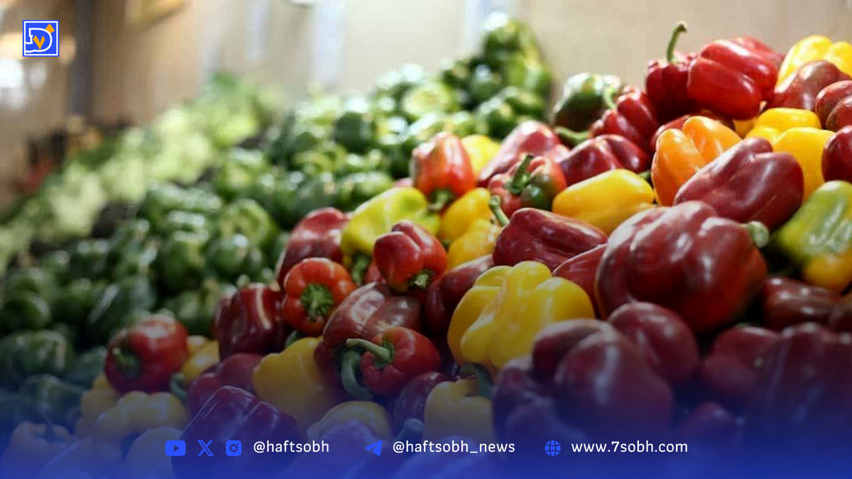 افتتاح ۴ بازار میوه و ترهبار جدید در تهران/ توسعه بازارها با هدف «هر محله، یک بازار»