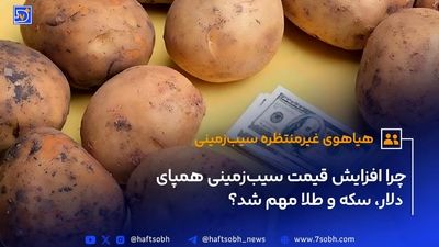 چگونه از پینوکیو به وارن بافت تبدیل شویم