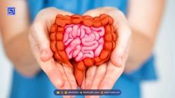 با این مواد غذایی، سلامتی معده و روده خود را تضمین کنید
