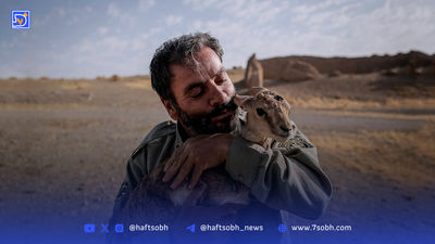 آخرین وضعیت اطفای حریق در پارک ملی گلستان