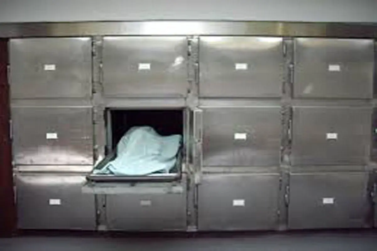 بازگشت از دیار باقی