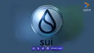 رشد 43 درصدی سویی در سال جدید میلادی