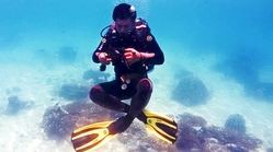 ‌جاذبه‌های گردشگری دنیای زیر آب
