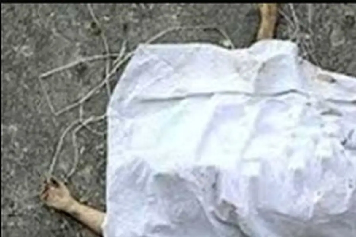 کشف دو تکه از بدن یک مرد در سطل زباله