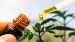 شمشیر‌کشی علیه شربت گیاهی کرونا‌