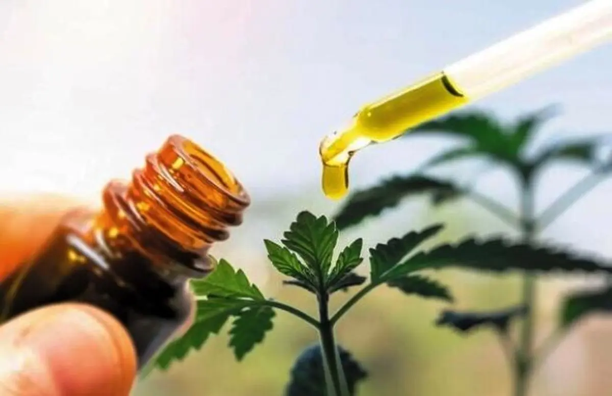 شمشیر‌کشی علیه شربت گیاهی کرونا‌