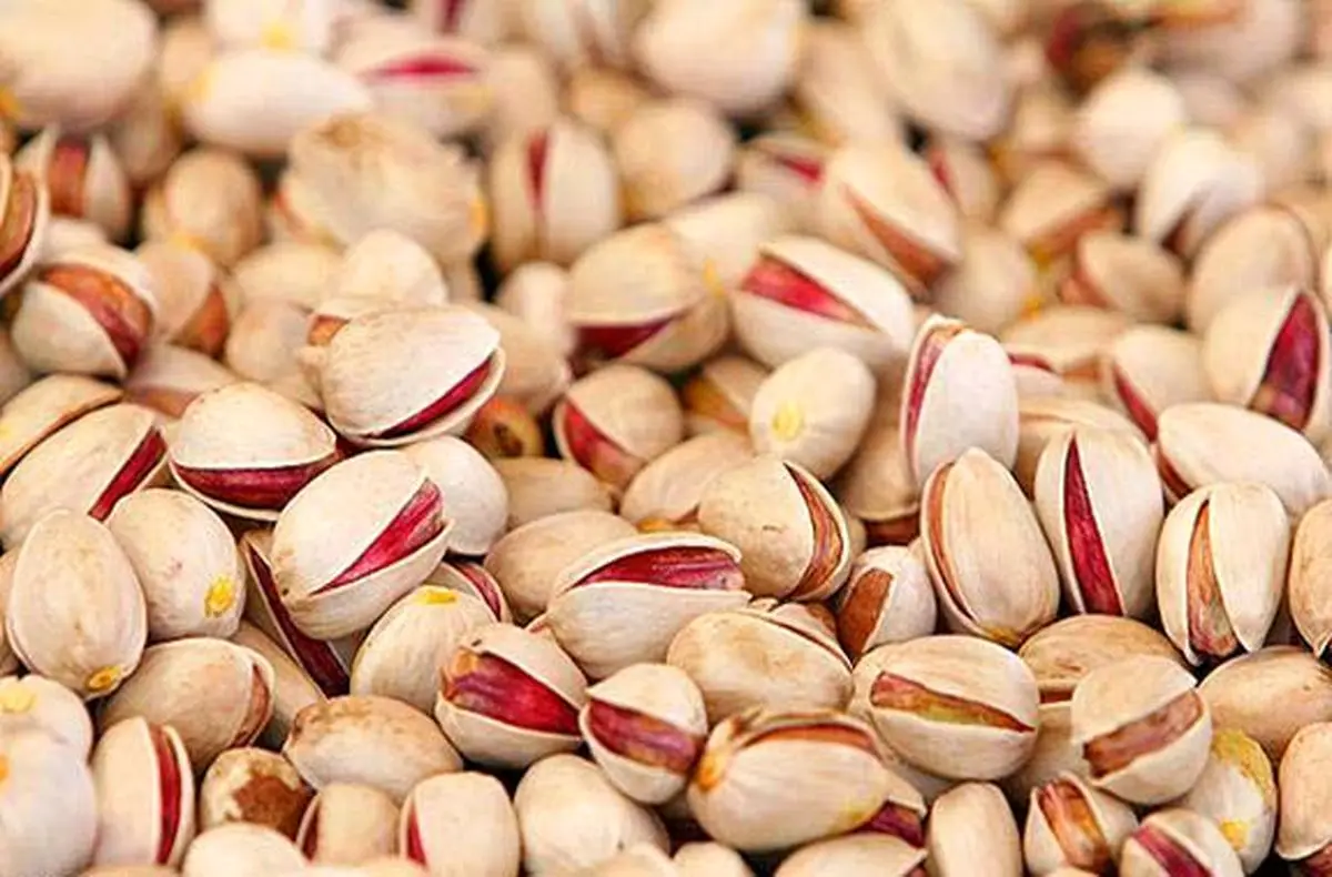 باغداران رفسنجان سالانه ۵۰۰ میلیارد تومان به جیب اتباع بیگانه می‌ریزند