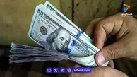 کاهش تقاضای دلار در بازار ایران؛ تراز ارز مثبت شد