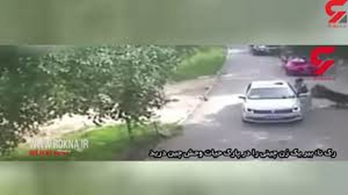 ببینید|لحظه مرگبار حمله ببر وحشی به زن جوان